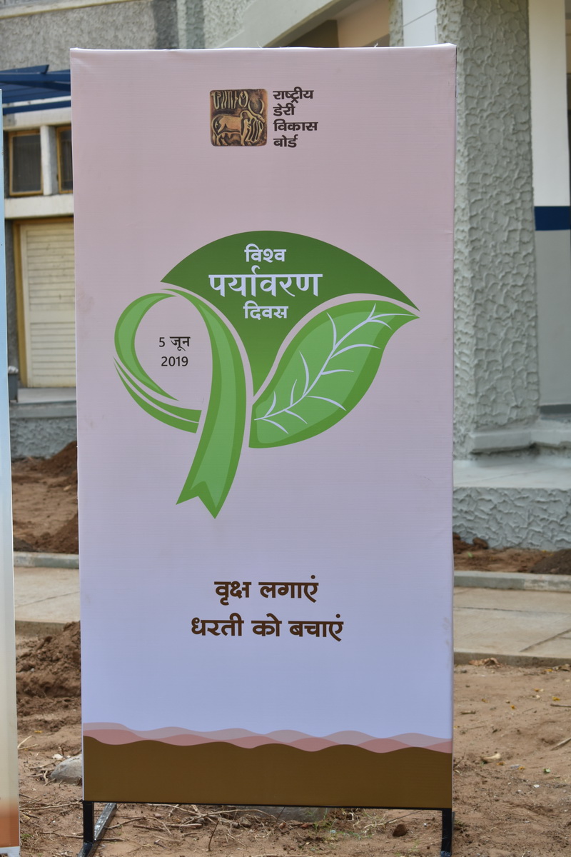 Environment Day Celebration <br>  05-06-2019
